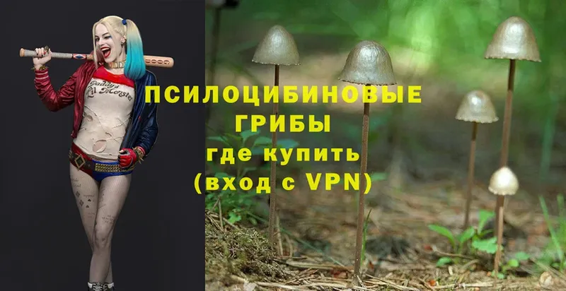 Псилоцибиновые грибы Magic Shrooms  мега   Голицыно 